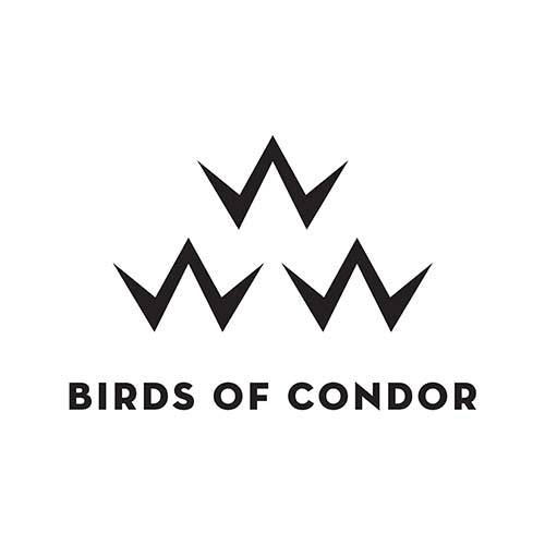 Birds Of Condor Logo